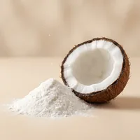 Poudre d'eau de coco, source d'électrolytes naturels dans Bao'Boost