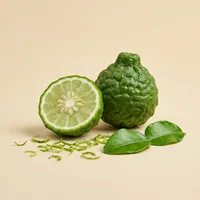 Combava, agrume tropical riche en vitamine C dans Bao'Boost