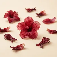 Fleur d'hibiscus séchée, antioxydants naturels de Bao'Boost